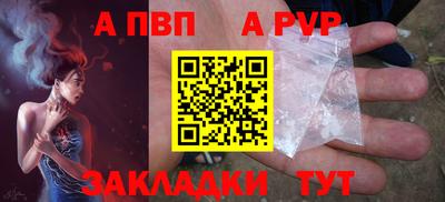 СК Кингисепп