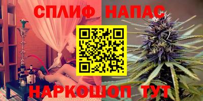 СК Кингисепп