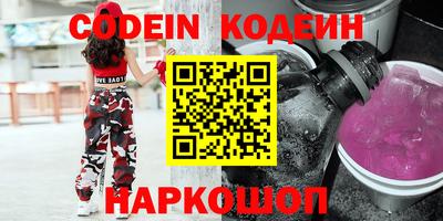 СК Кингисепп