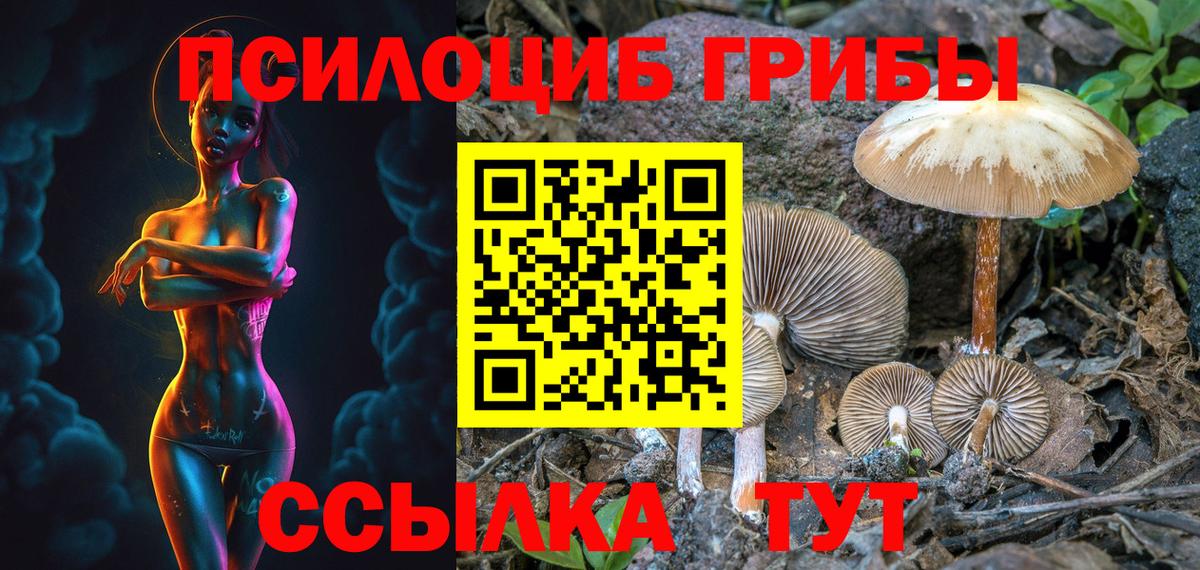 Буйнакск  Псилоцибиновые грибы прущие грибы  Вход с VPN  Псилоцибиновые грибы ЛСД 